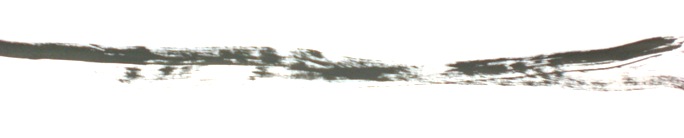 CIMG8493