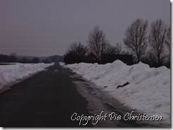 Falster 12. januar 2011 