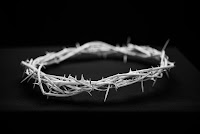 Crown of Thorns - Photo by BBC Creative on Unsplash