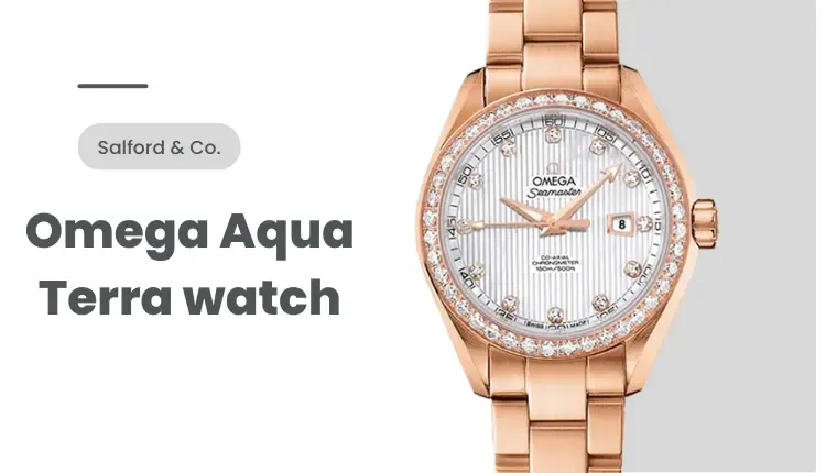 A picture of the Omega Aqua Terra women's watch with a white background in gray