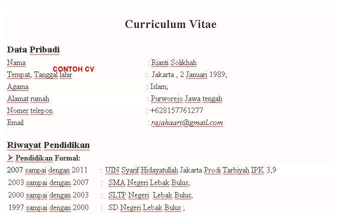 Contoh CV Curriculum Vitae Bahasa Indonesia Yang Baik Dan 