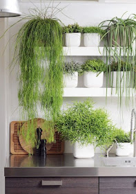 decore-com-plantas