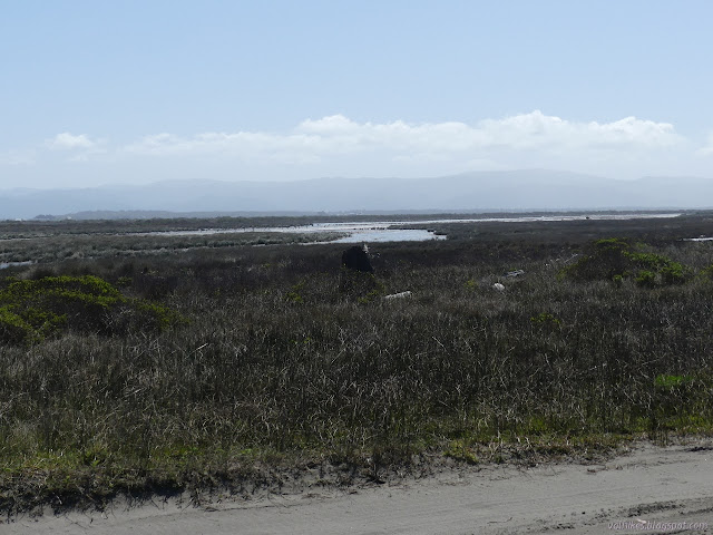 lots of water among the flats