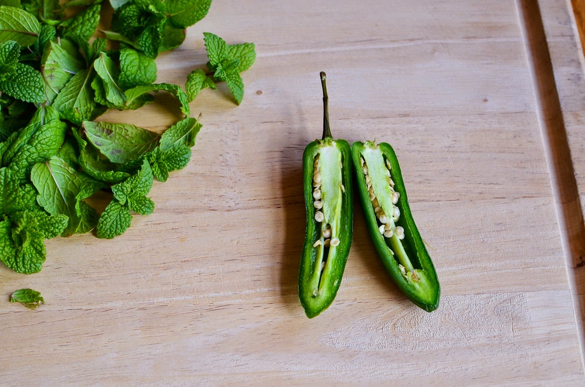 mint cilantro chutney-9487