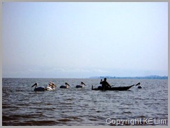Lake Tana
