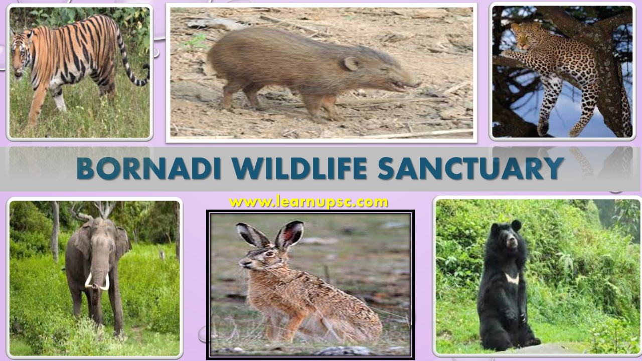 Bornadi Wildlife Sanctuary - Learn UPSC