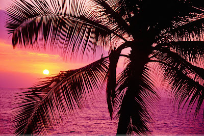 Nice Sunset Wallpaper Pack 1 | High Resolution 1999 x 1333