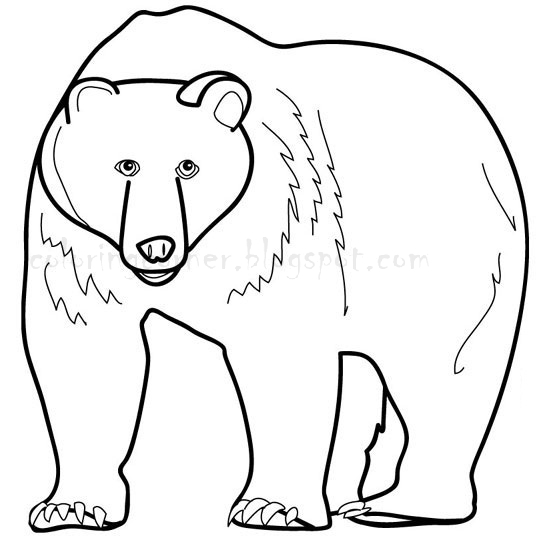 Bear Coloring Pages