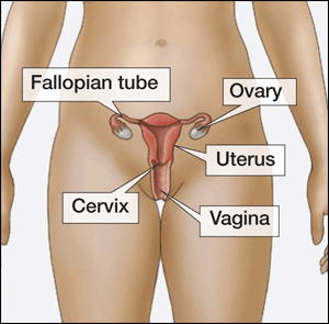 The term Pelvic inflammatory disease (PID) is a serious health condition that affects women.