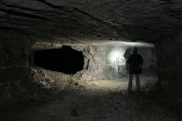 ESTAS MINAS CON EL MINERAL VEGETAL MAS CODICIADO PARA GENERAR CORRIENTE ELÉCTRICA