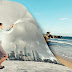 Creating our New Reality | Kenneth Schmitt