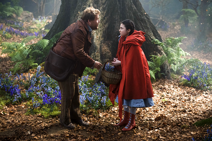 Into The Woods Film