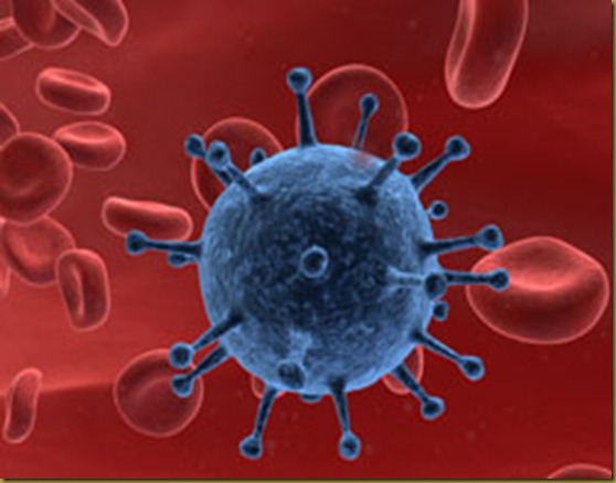Immunrendszer