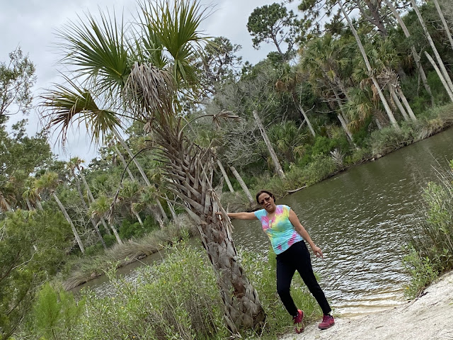 Tomoka State Park Florida, Usa