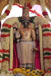 Sri Parthasarathy Perumal,Maanavala Maamunigal, Ippasi thirumulam,Satrumurai Venkata KRishnan,Purappadu, 2019, Video,Divya Prabhandam,Triplicane,Thiruvallikeni,Utsavam,