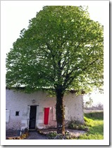 lindeboom