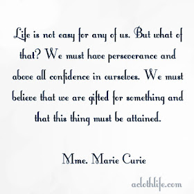 perseverence quote by marie curie