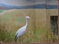 Crane International Center WI