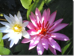 image076
