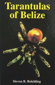 Tarantulas of Belize