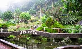 Foto tempat wisata taman selecta