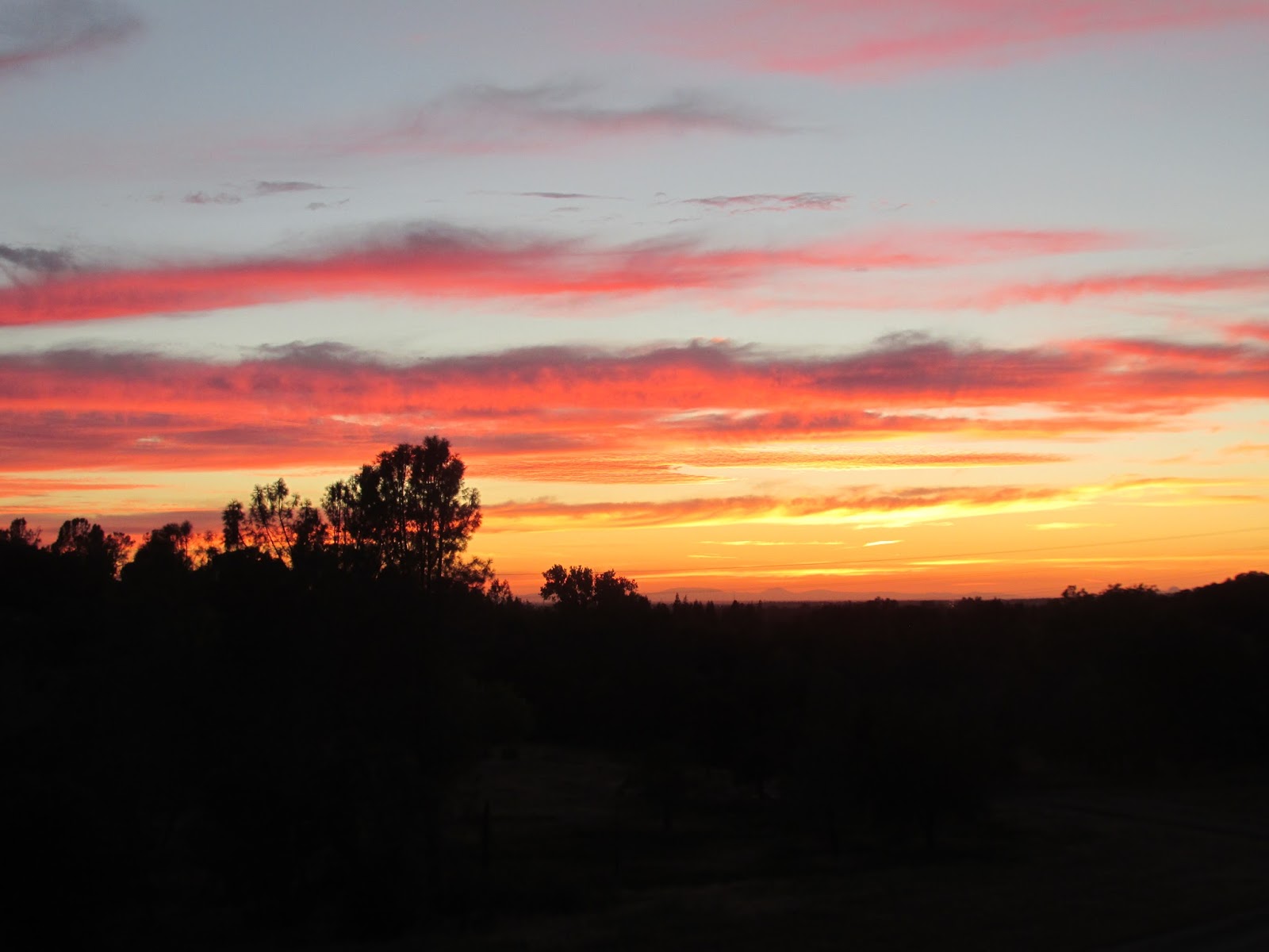 folsom lake sra