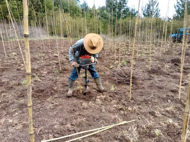 Agricultores Proyecto FIC