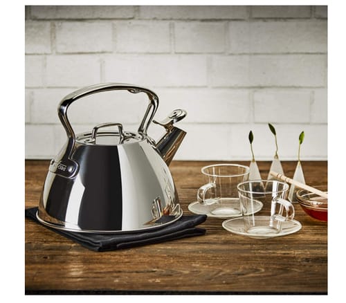 All-Clad E86199 Stainless Steel Tea Kettle