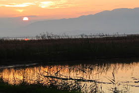 Sunset in L'Encanyissada of El Delta del Ebre