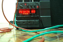 peskins stereo