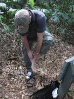 Periyar Wildlife Sanctuary