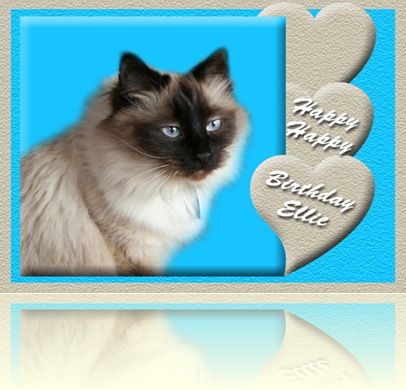 Happy_Birthday_Ellie