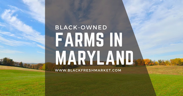 Black Owned Farms In Maryland