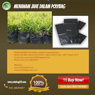 harga polybag berapa,harga polybag berdasarkan ukuran,harga polybag besar,harga polybag bibit,harga polybag bibit tanaman,harga polybag cabe,harga polybag dan ukuran,harga polybag di bandung,harga polybag di jogja,harga polybag di malang