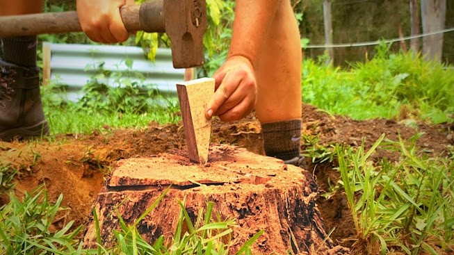 Remove a Tree Stump