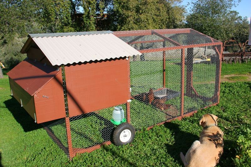 buy-chicken-coop-online-australia-mobile-coop.jpg