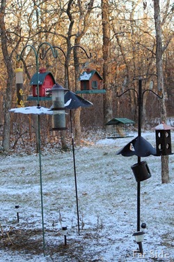 Bird Feeders