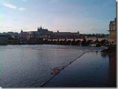 IMAG0005