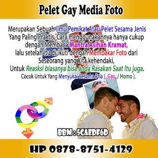 Pelet Gay Media Foto