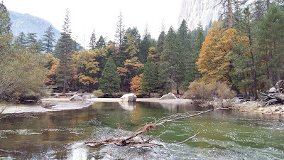 yosemite-park.jpg