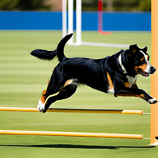 The bond between humans and their pets is a special one, often filled with love, companionship, and mutual support. One of the best ways to strengthen this bond is by exercising together. Engaging in physical activities with your pet not only promotes a healthy lifestyle for both of you but also deepens your connection. In this article, we will explore the benefits of exercising with your pet and suggest some fun activities to help you maintain a healthy and happy bond.