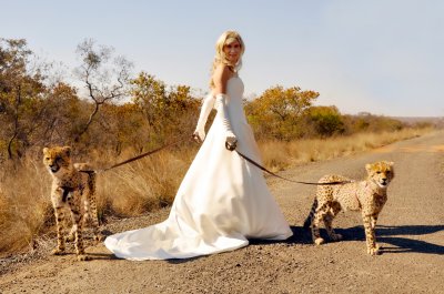 Georgia Wedding Locations on Hotels And Wedding Venues   South Africa  Weddings At Genius Loci Game