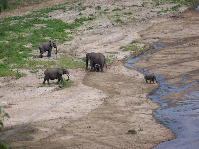 Tarangire National park Tembea Tanzania