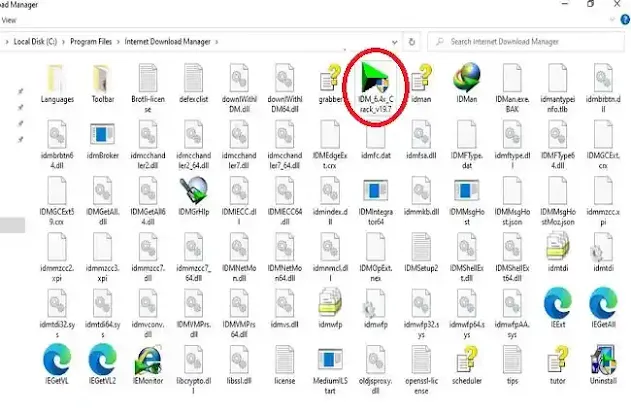 IDM_Host_File