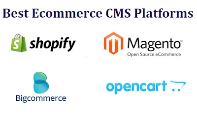 Best CMS For Your E-commerce Website
