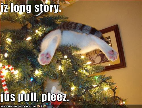 Cat Stuck In Christmas Tree