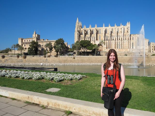 Palma Cathedral - Mallorca