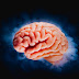  At What Age is the Brain 100% Developed | Brain  Developed Game Features 