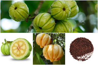 Brindleberry (Garcinia Cambogia), fruit, powder