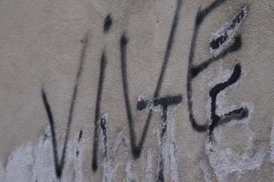 Graffiti image of a spray-painted word, live, from the old town centre of Genoa, Italy.